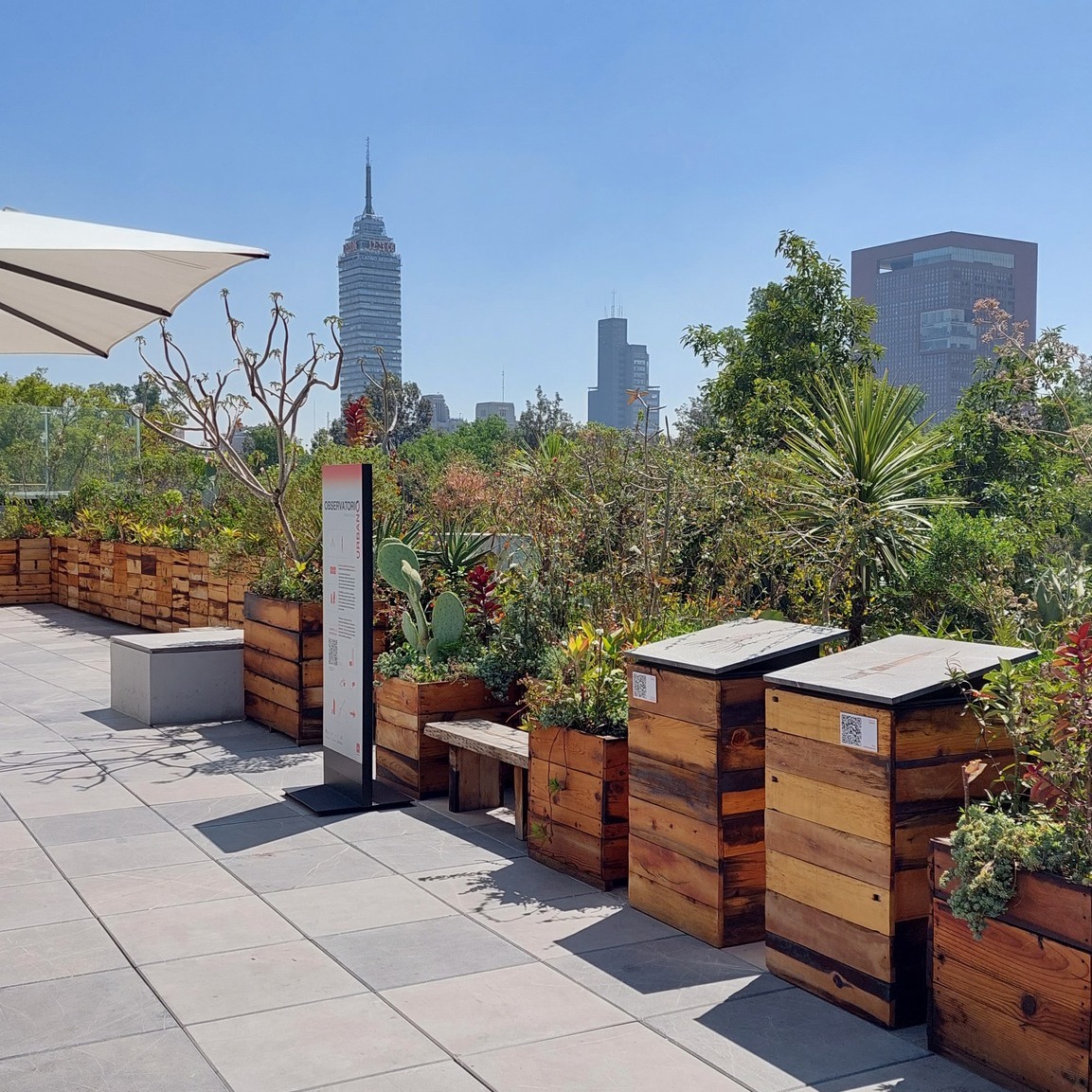 Terraza del Museo Kaluz