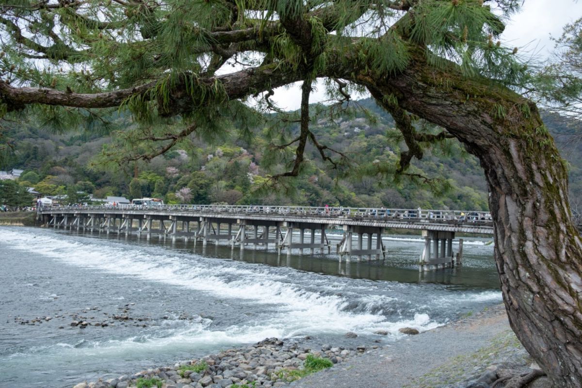 Puente anitguo de madera en Uji. 
