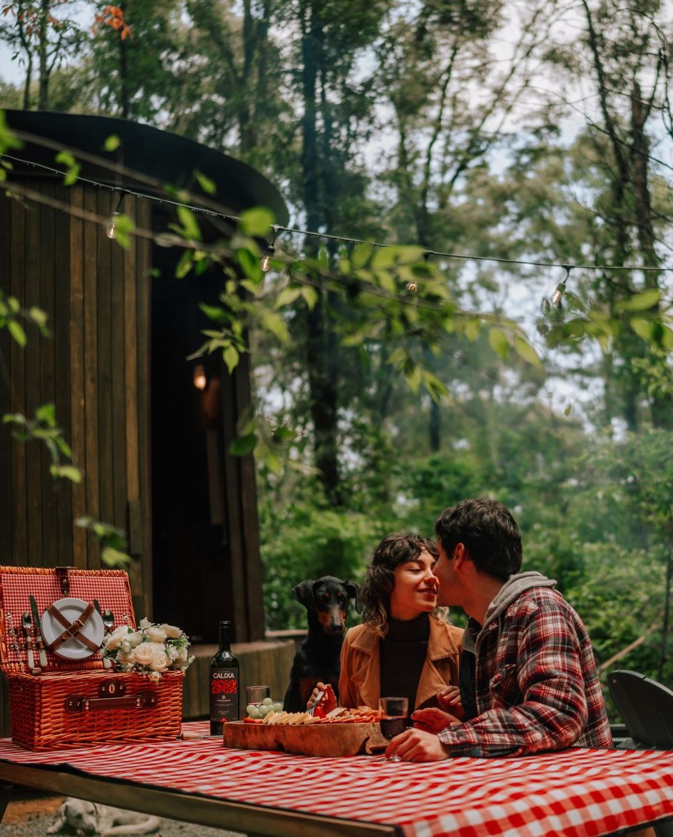 picnic romántico en wander alpino