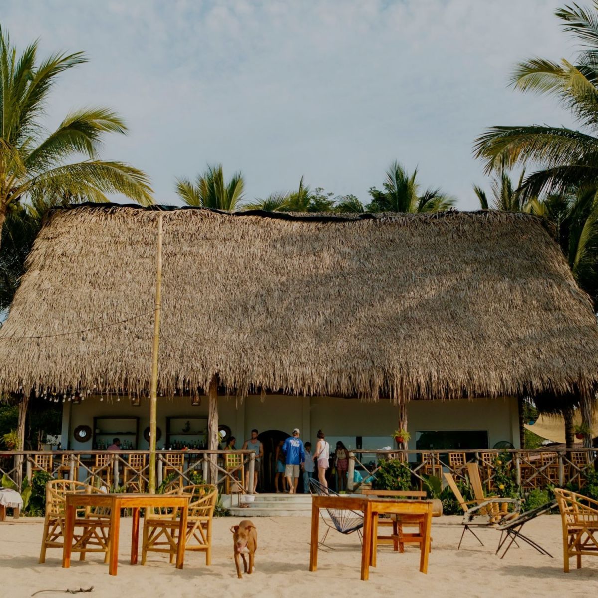 Sirena Morena Yelapa