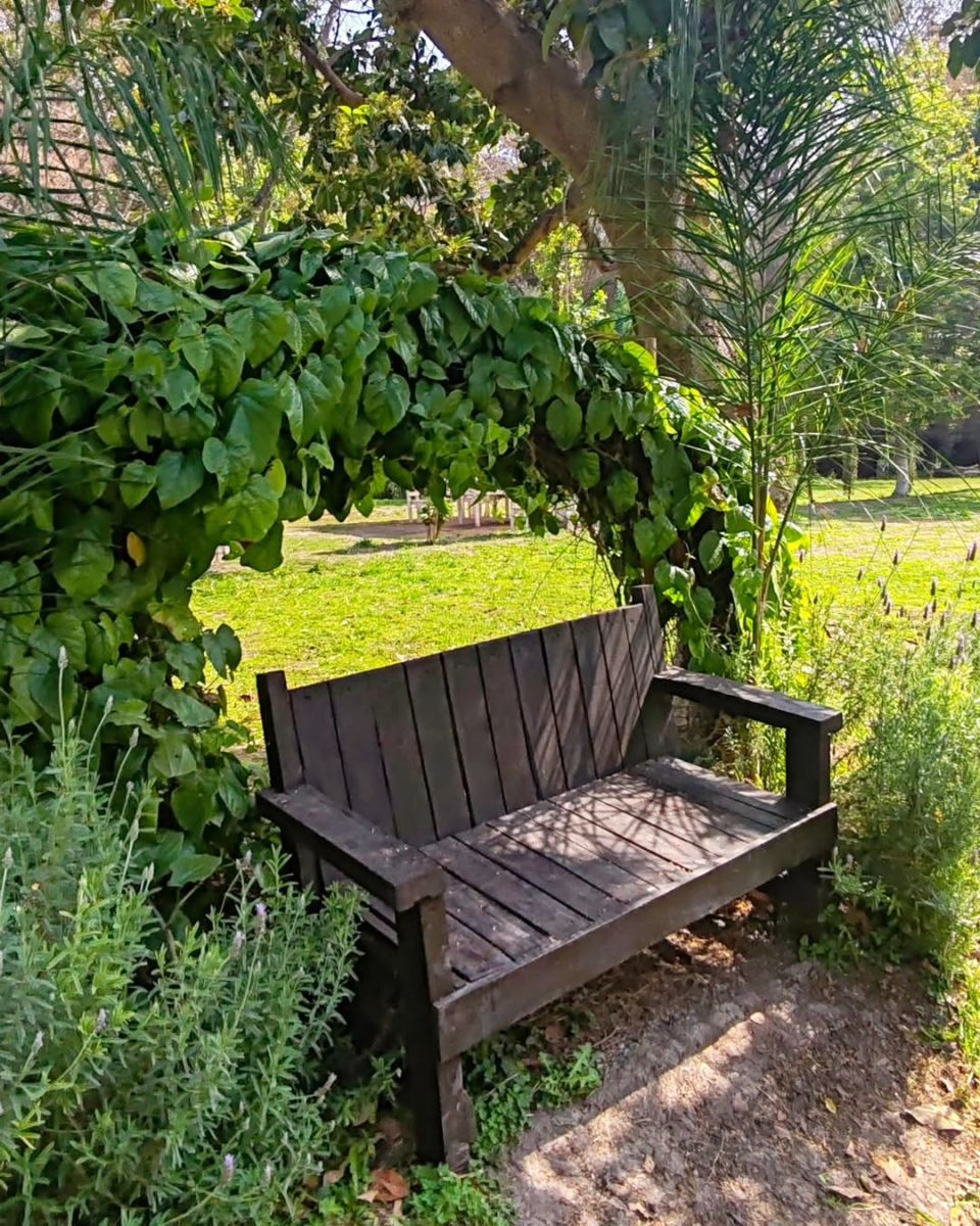 Un balneario privado cerca de la CDMX