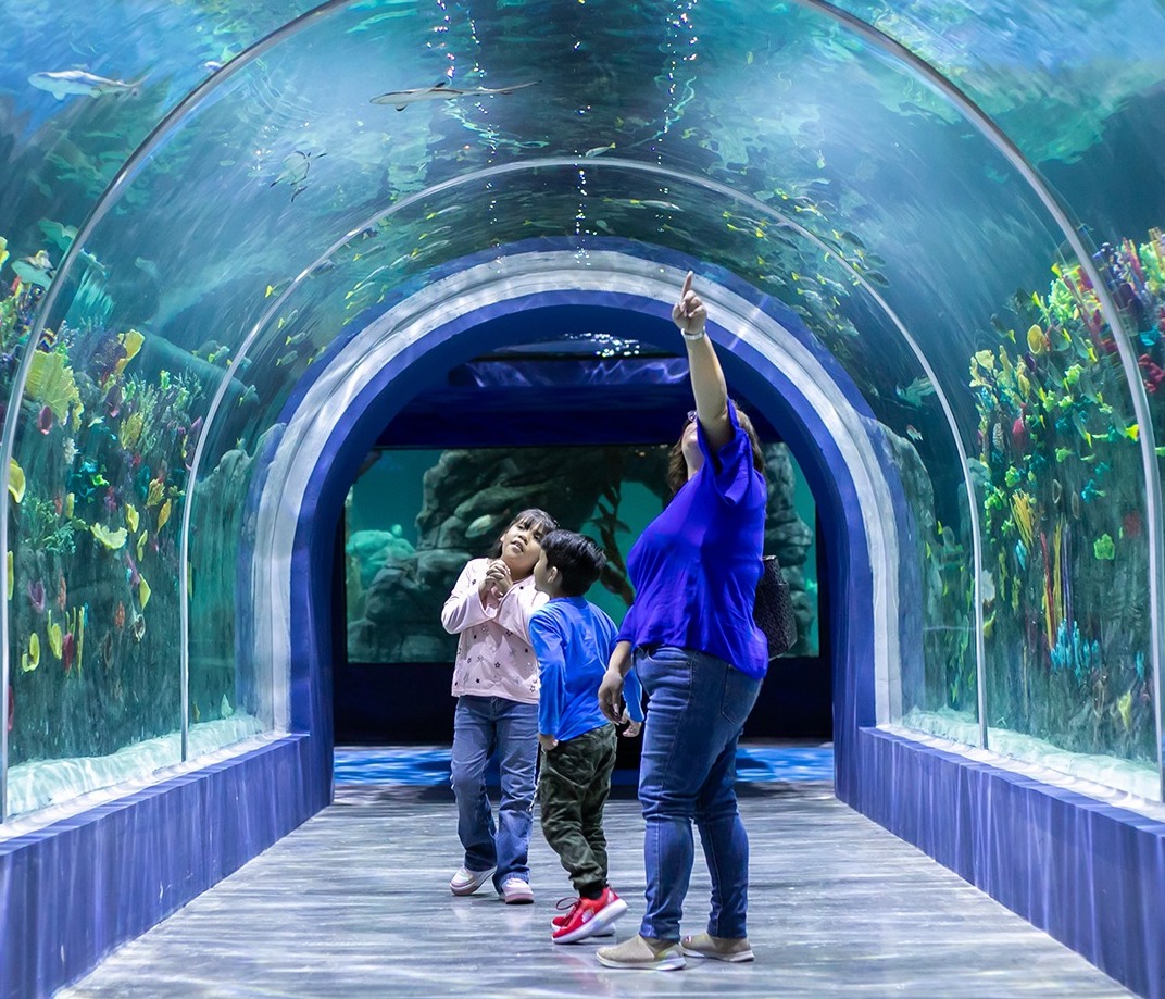 Acuario Michin en la CDMX