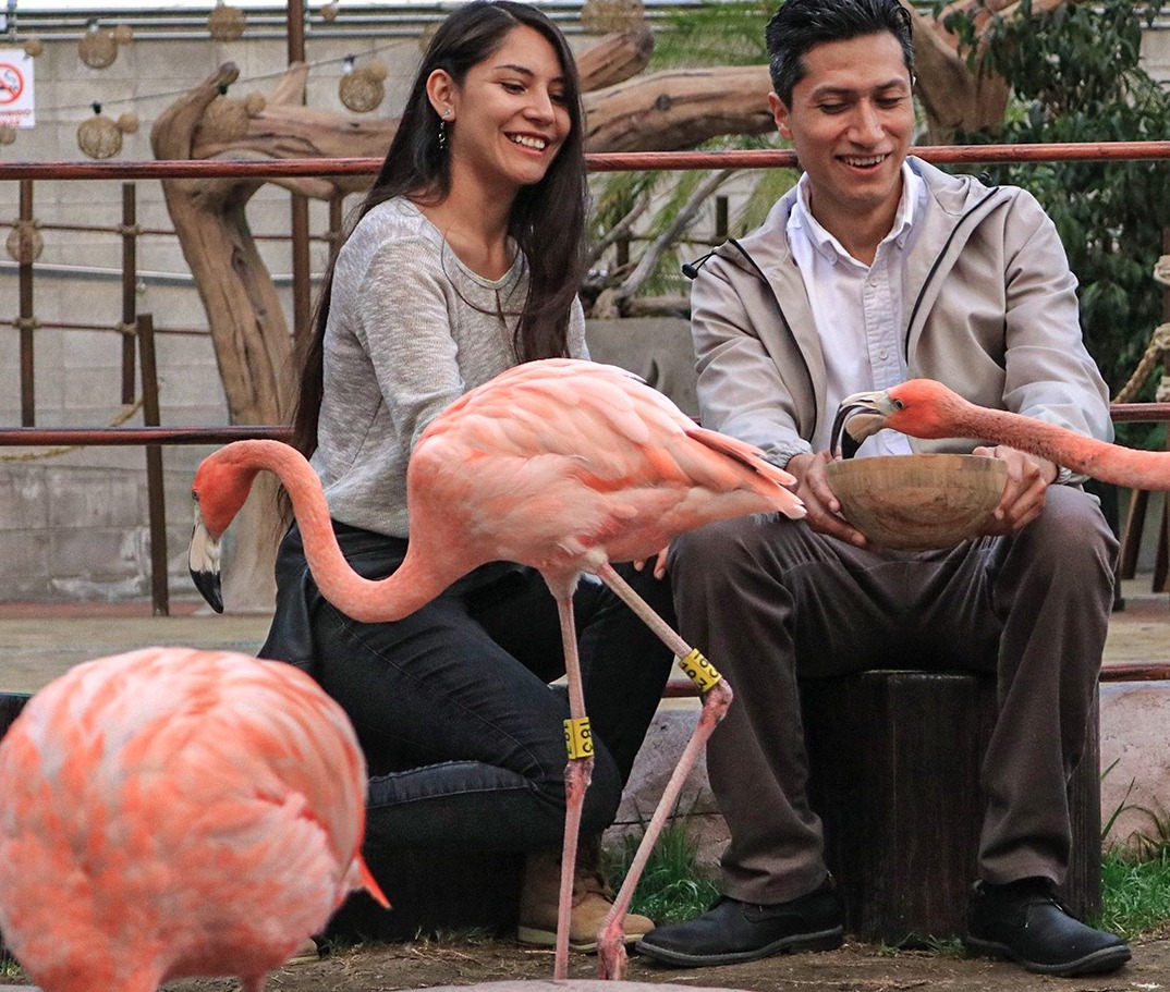 Acuario Michin en la CDMX
