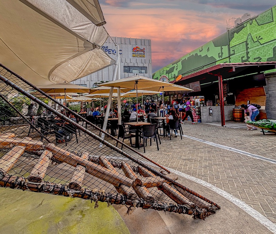 Área exterior del Acuario Michin en CDMX