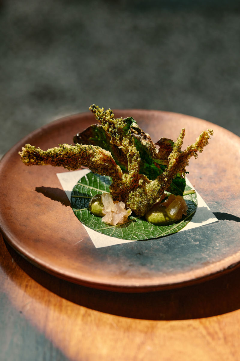 Arca Tulum, platillos imperdibles en su experiencia.