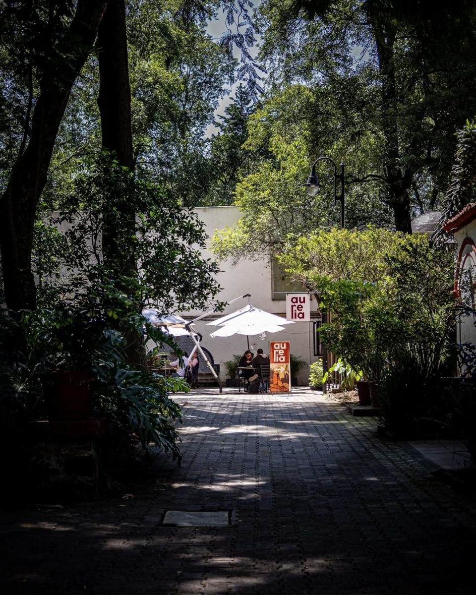 restaurantes bonitos en coyoacán