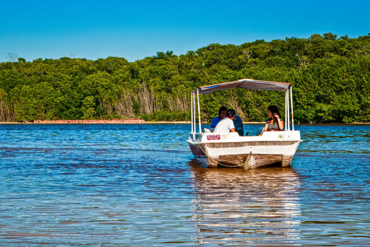 En Celestún, los locales ofrecen recorridos en lancha por la ría