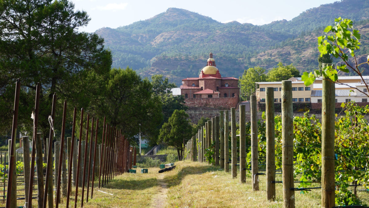 Cerocahui, viñedos en Chihuahua