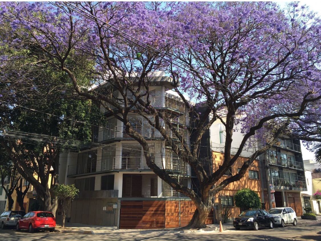 Colonia Narvarte 