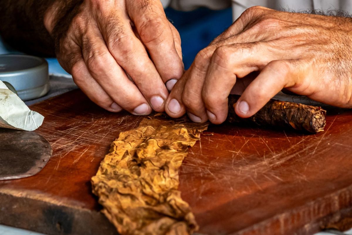 Hacer puros es una tradición en este pueblo amarillo