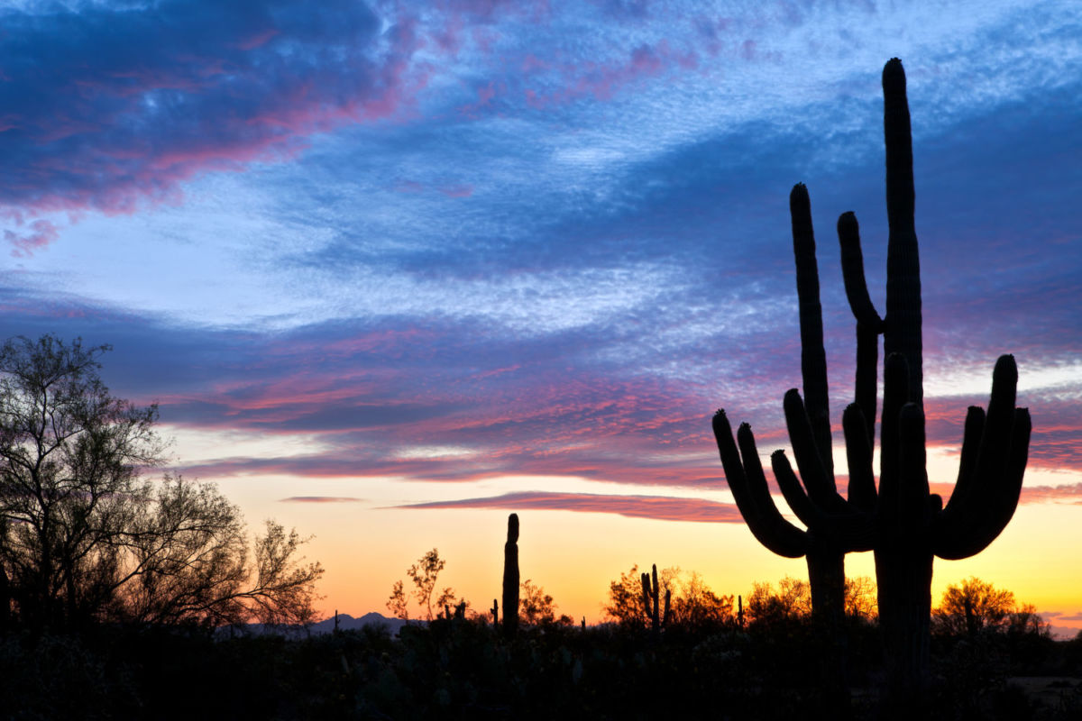Los atardeceres en Álamos son reconocidos por sus vibras desérticas y colores purpuras