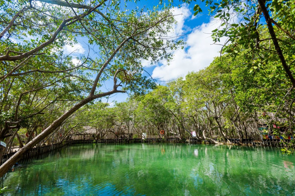  Reserva Ecológica El Corchito 