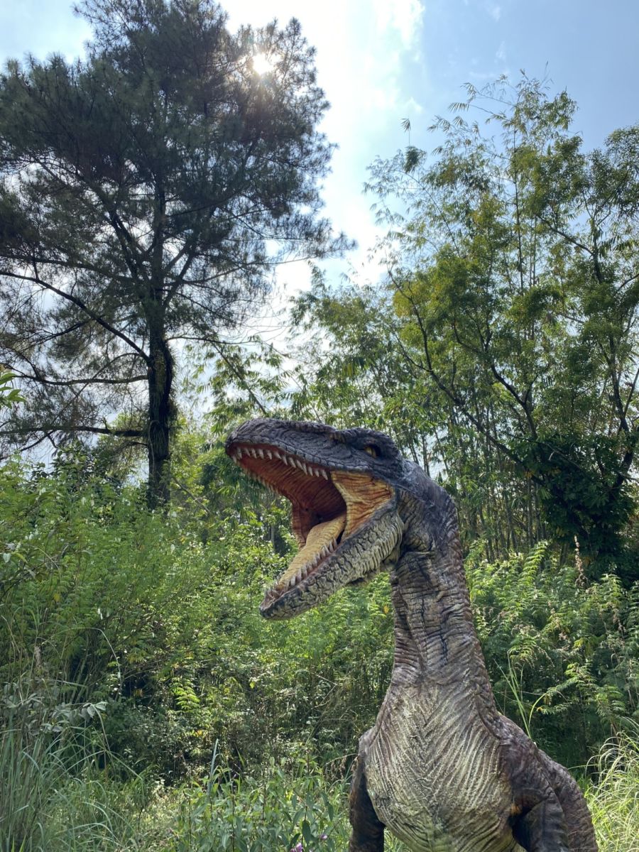 dónde cayó el meteorito que acabó con los dinosaurios 
