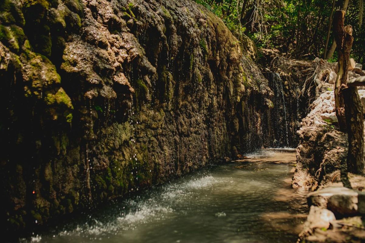 El Ganthe, un refugio ecológico y comunitario en el corazón de Hidalgo