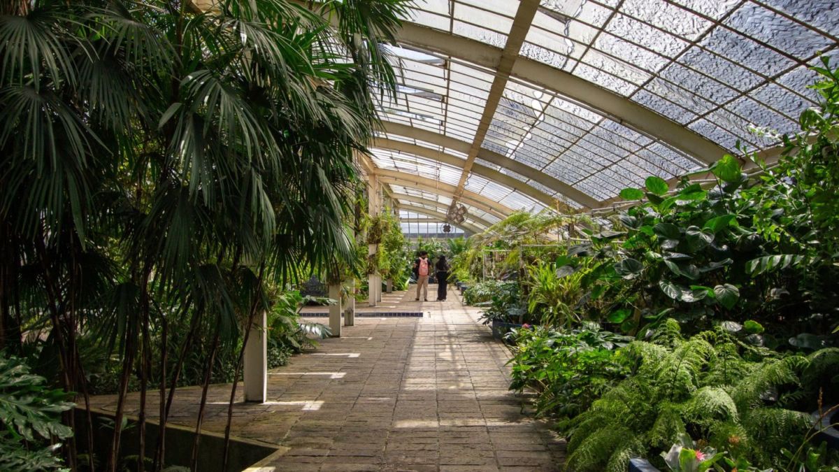 Evento gratis en el Jardín Botánico