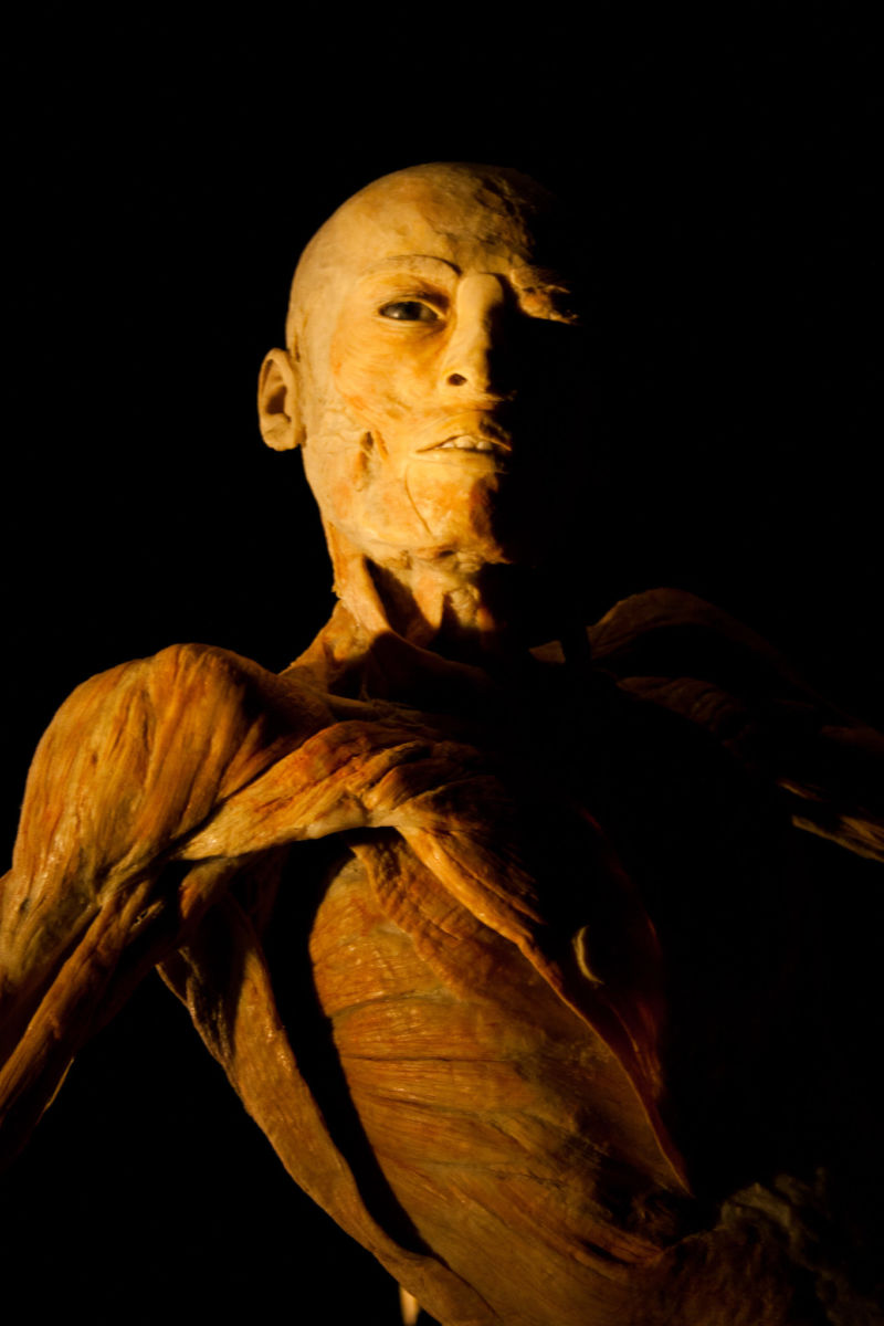 Asómbrate con los secretos del cuerpo humano 