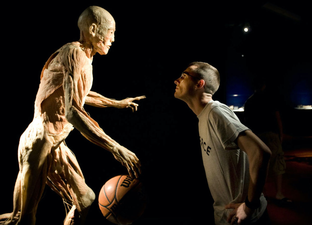 Conoce la exposición en CDMX que exhibe cuerpos humanos reales presentados de forma artística y educativa