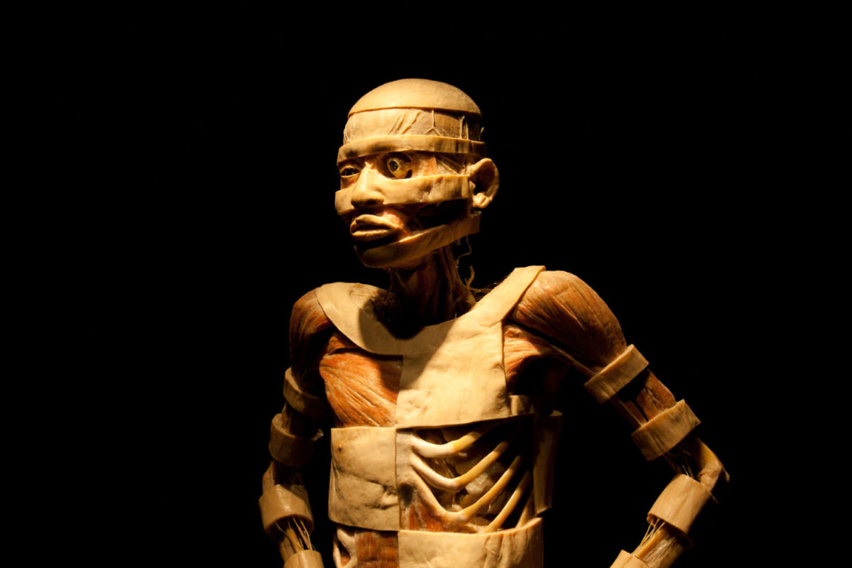 Una exposición donde se exhiben cuerpos reales 