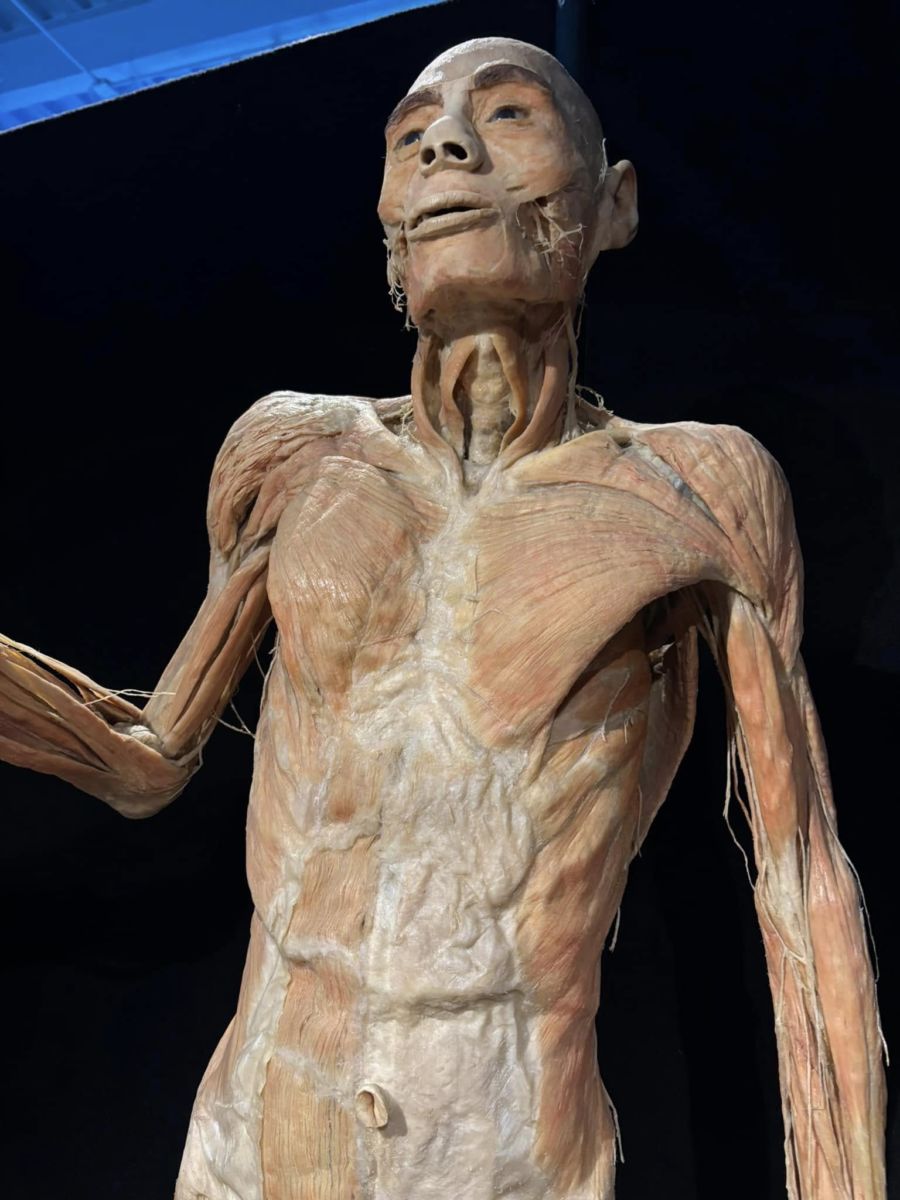 Exposiciones creativas en CDMX