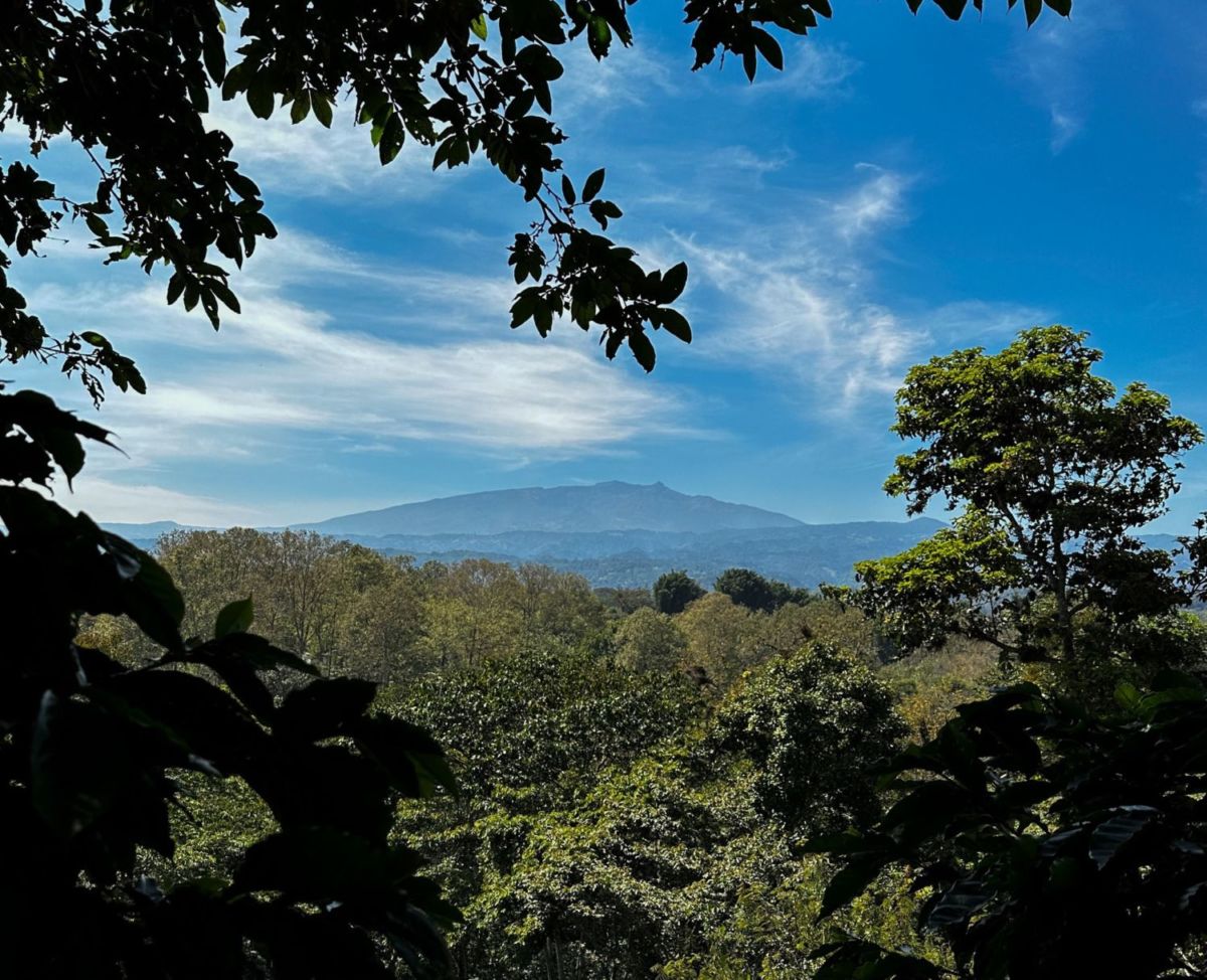 Vistas hacia el Cofre de Perote en Finca Fátima