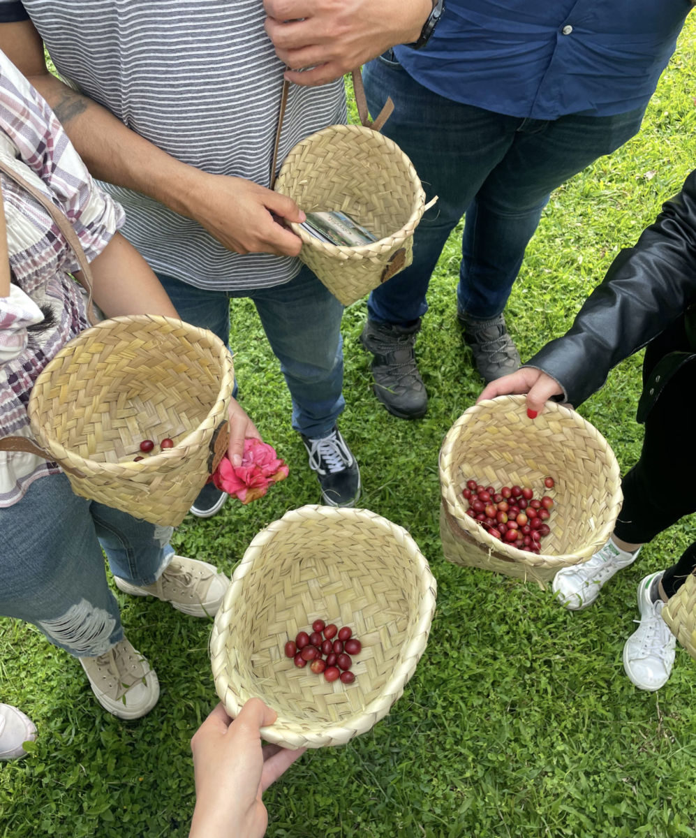 Aprende todo sobre el café en Finca Fátima