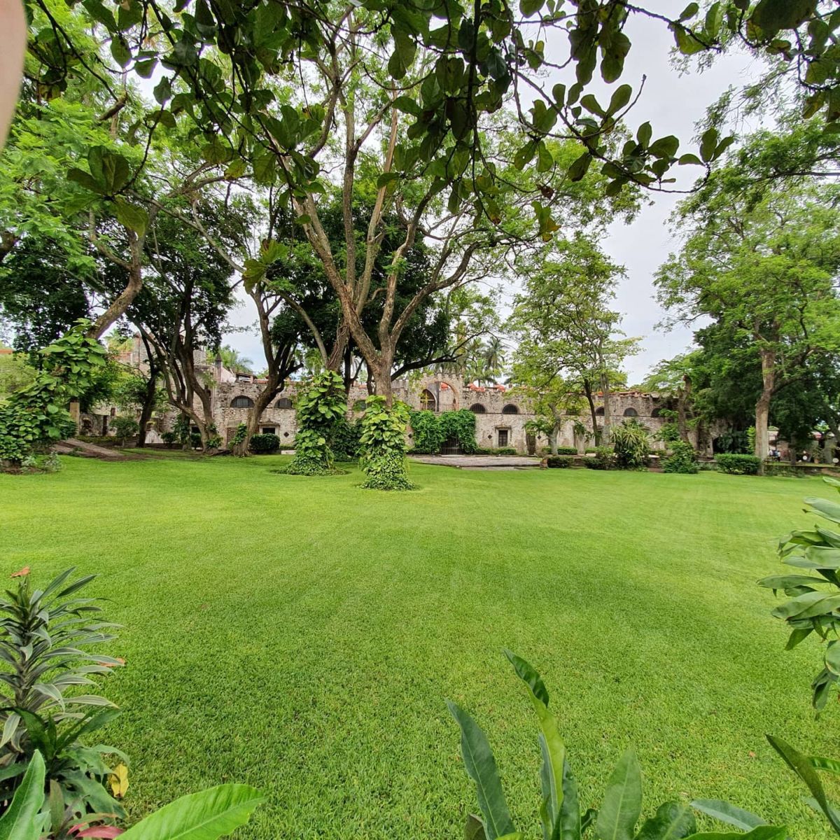 Jardines del Hotel Hacienda Vista Hermosa