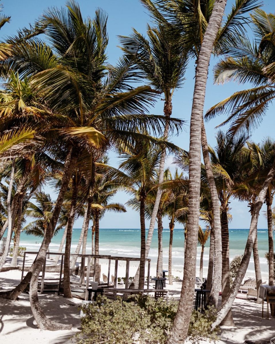 Hotel Casa malca al sur de Tulum.