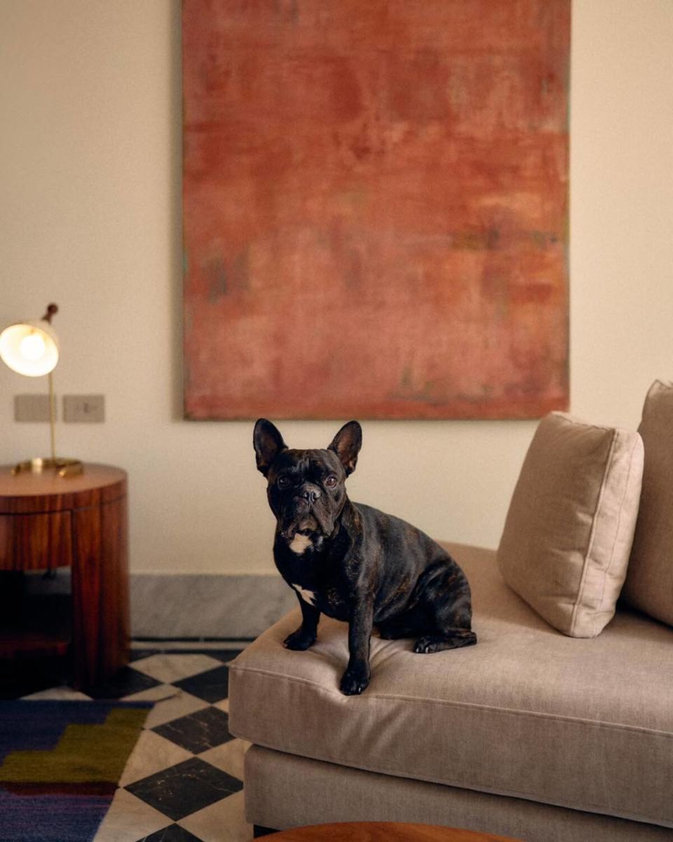 Hotel pet friendly en La Condesa, CDMX. 