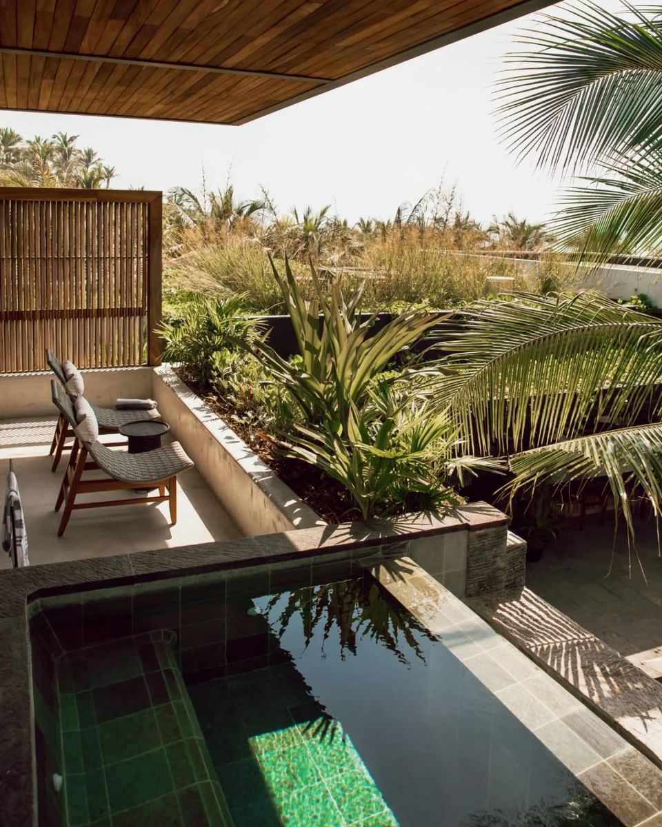 Hotel rodeado por naturaleza en zihuatanejo. 