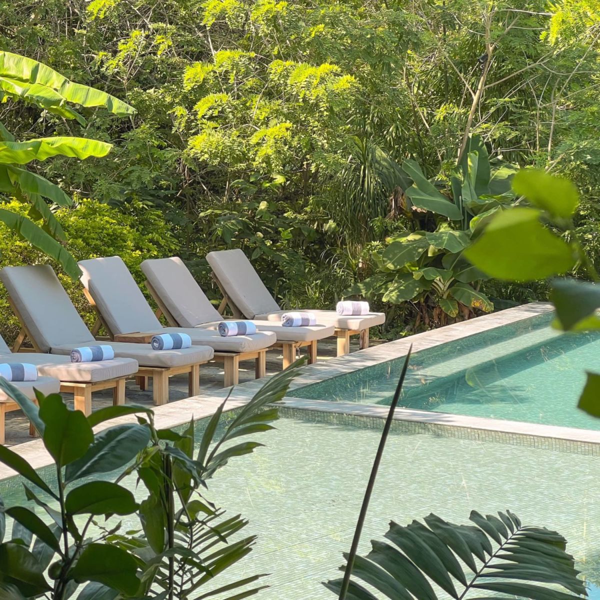 santuario de serenidad en la huasteca potosina