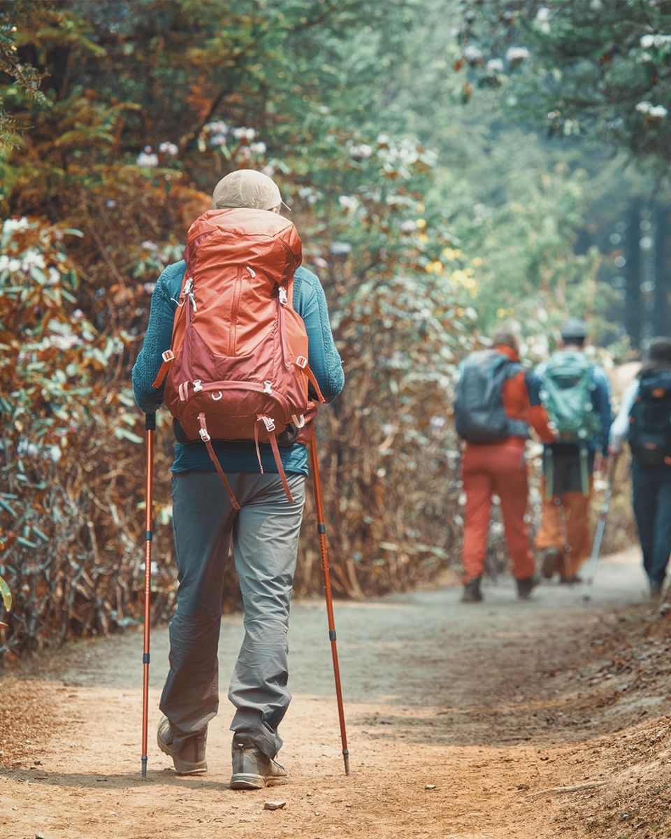 paseos en la naturaleza en valle de bravo