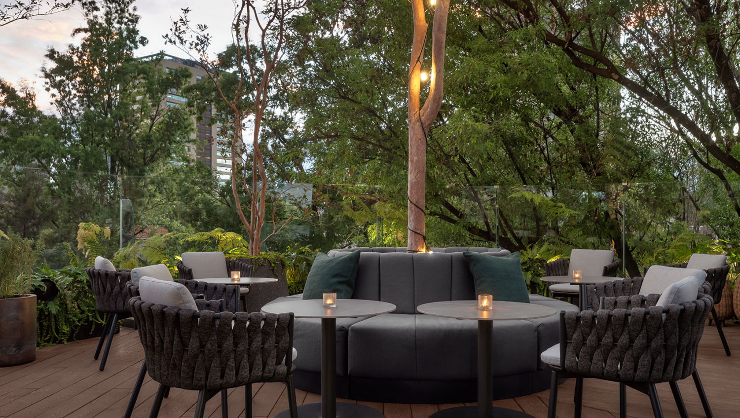 Bar La Caña en kimpton Virgilio