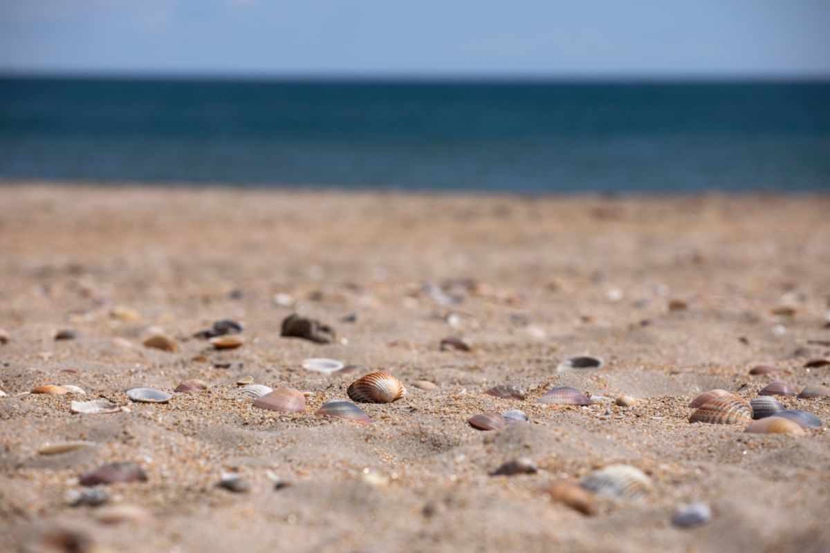 las playas más bonitas de Manzanillo 