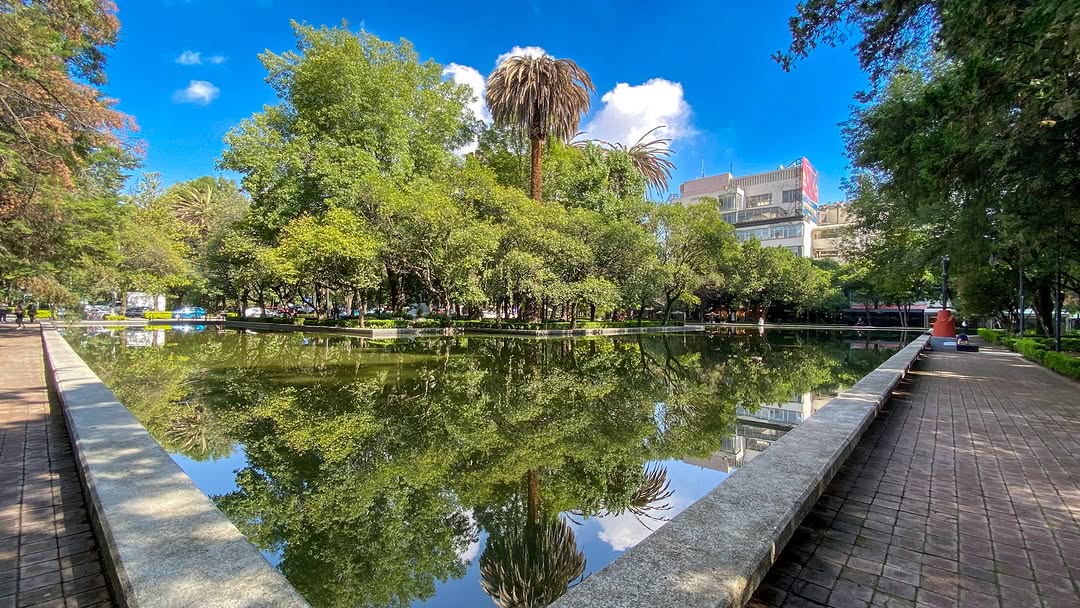 espejos de agua en el parque lincoln en polanco