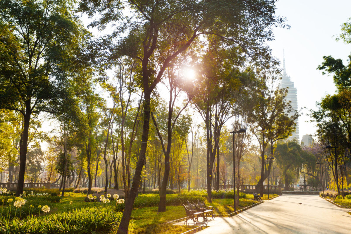 Alameda Central, ideal para patinar