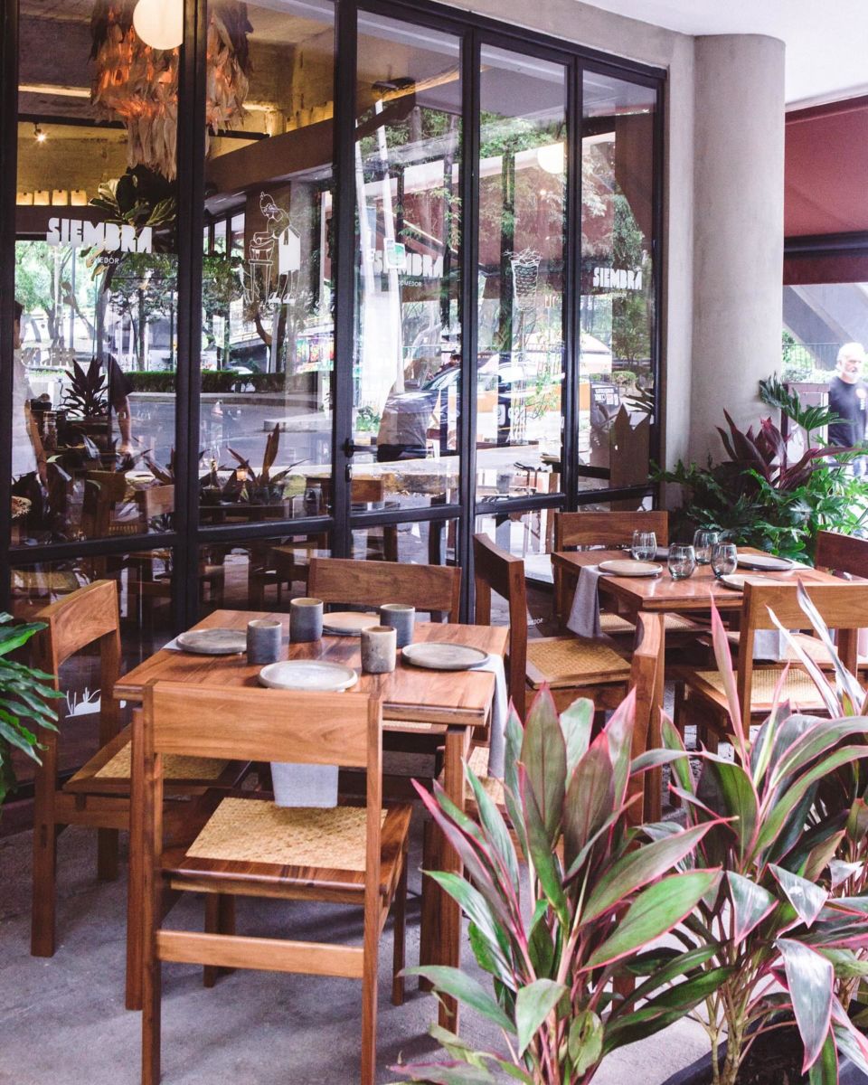 chilaquiles en polanco