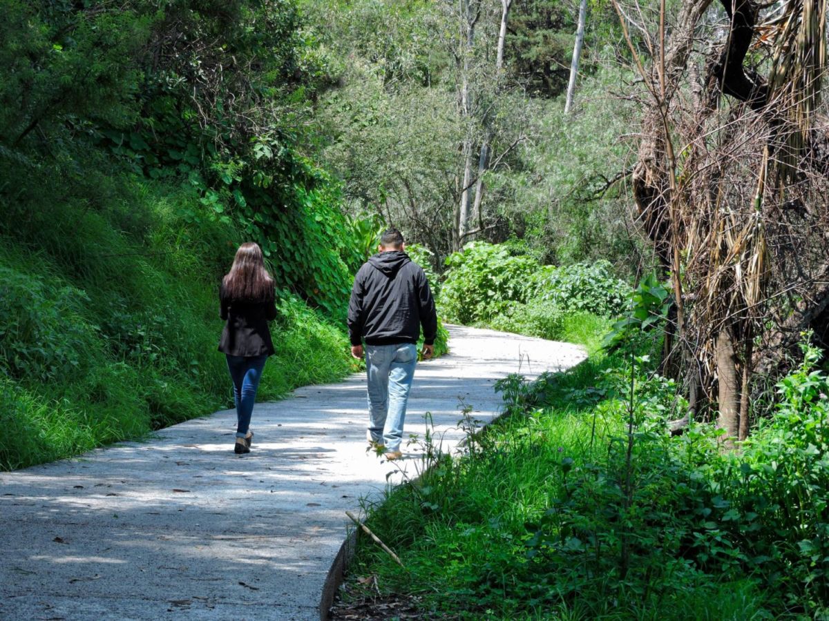 Camino al Paseo Memorial en el Bosque de Chapultepec