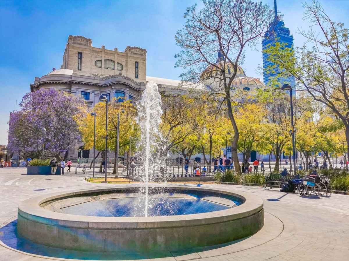 jacarandas en la Alameda Central