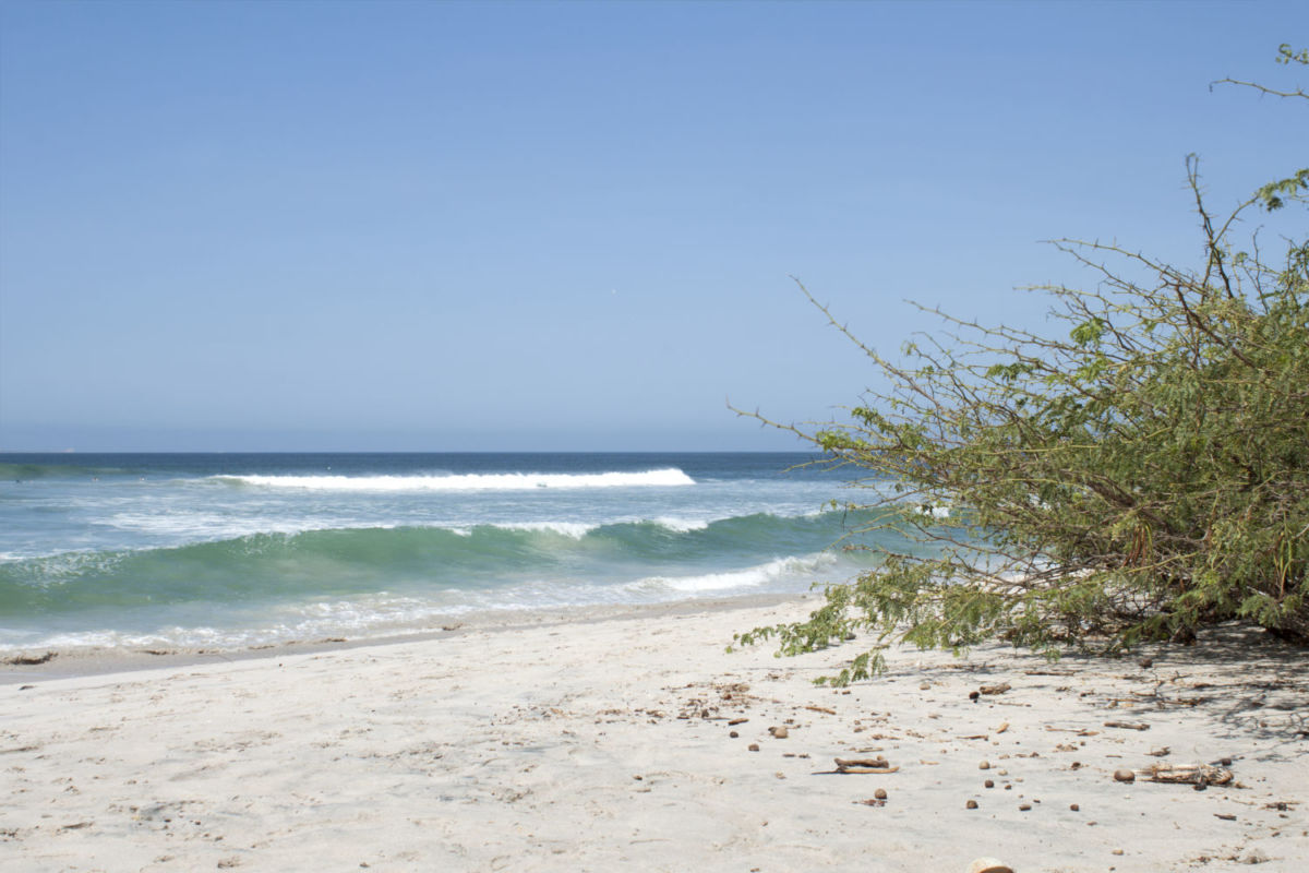 Para llegar a Playa La Lancha hay que recorrer un sendero selvático 