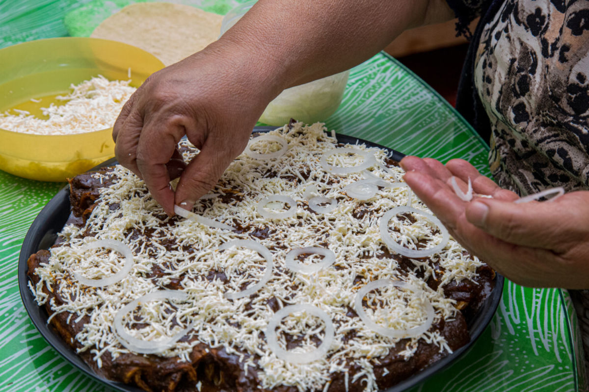 Enchiladas de mole xiqueño 