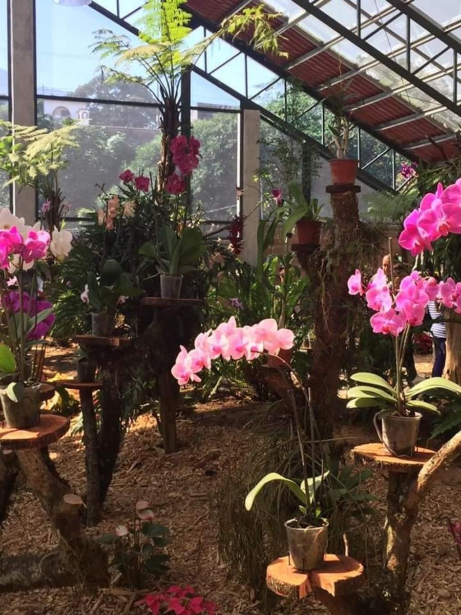 Museo de la Orquídea en Coatepec