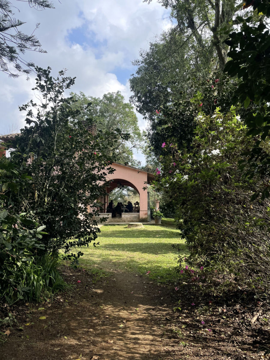 Visita una finca cafetalera en Coatepec