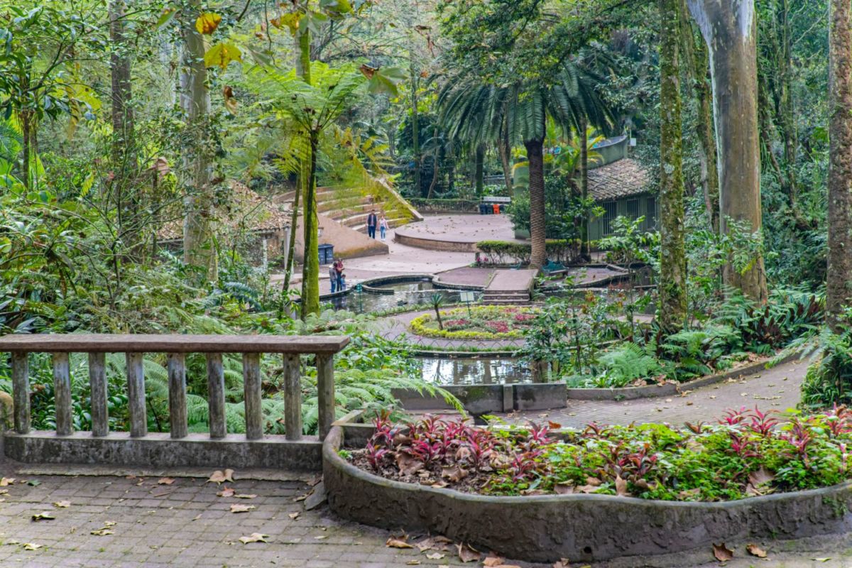 Parque Los Tecajetes en Xalapa 