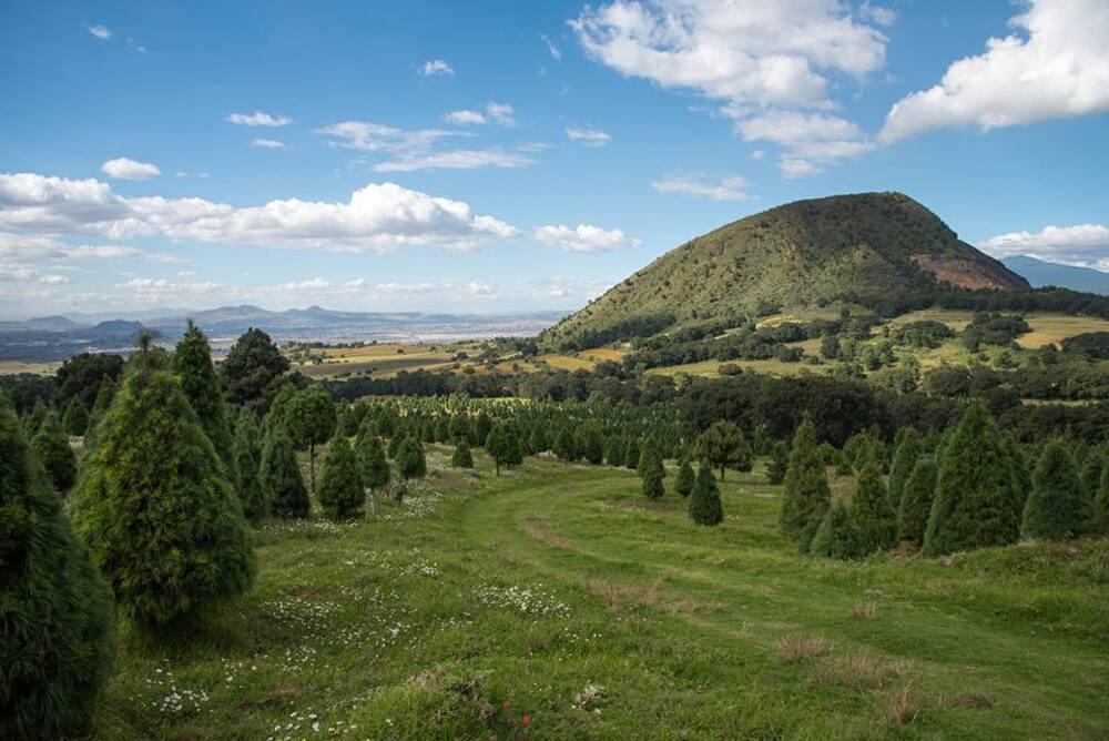 Rancho La Mesa, parque ecológico en Tlalmanalco, Estado de México