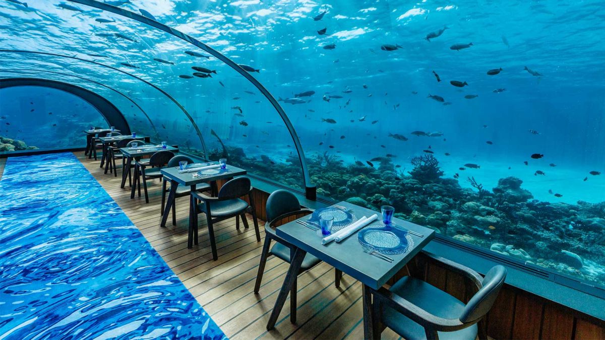 Experiencias gastronómicas bajo el mar