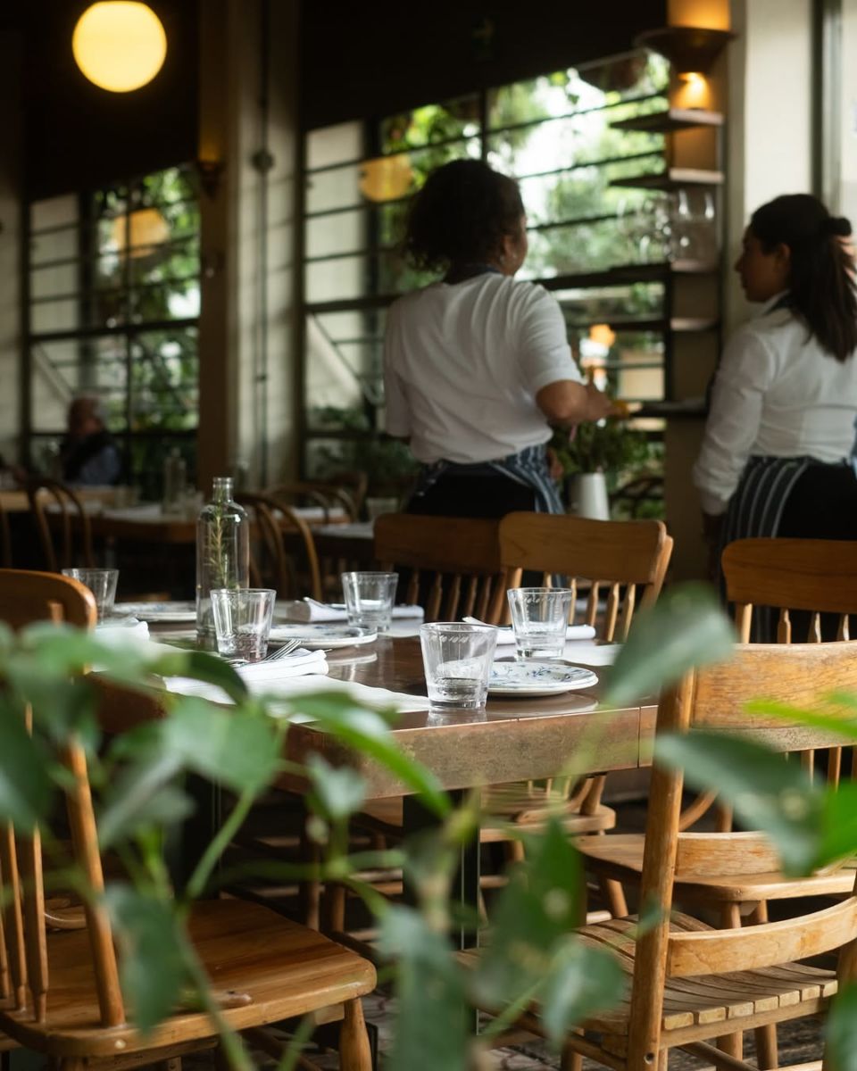 Lardo tiene una atmósfera amigable en un entorno rodeado de plantas