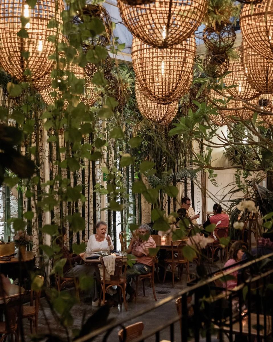 Terrazas bonitas en CDMX