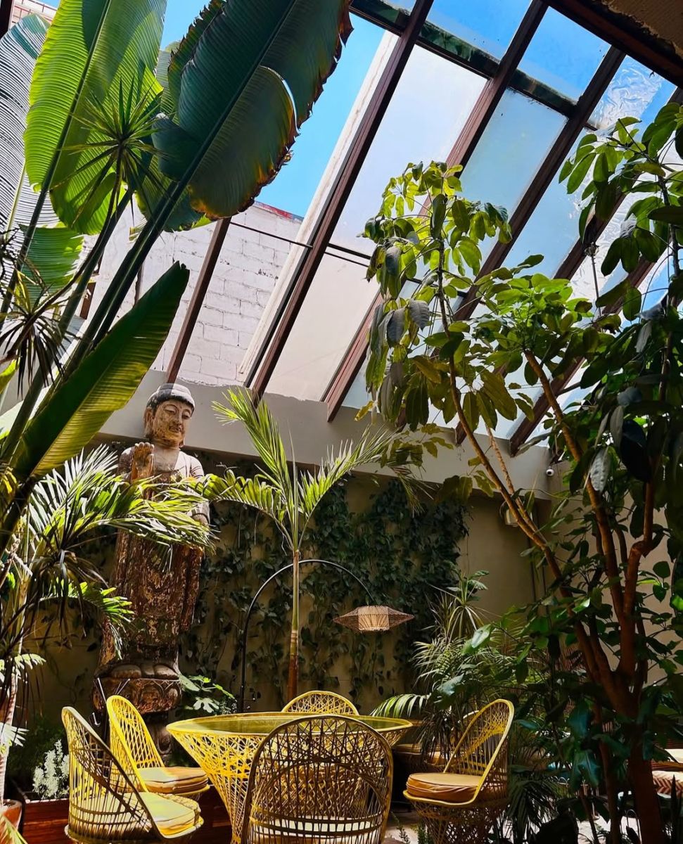 Terraza exótica de Plantasia en la Roma Norte