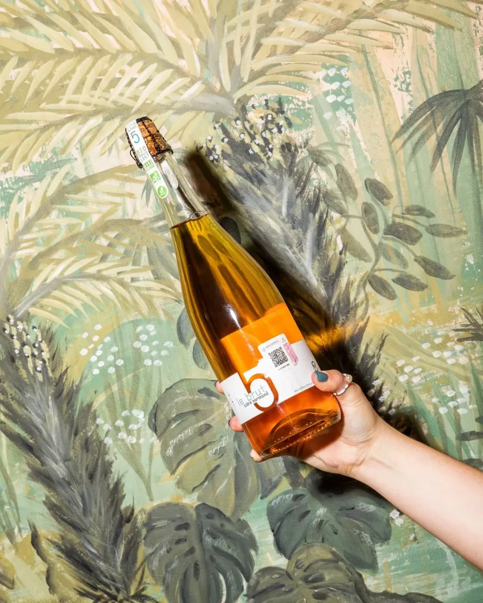 cava de vinos de Somsaa