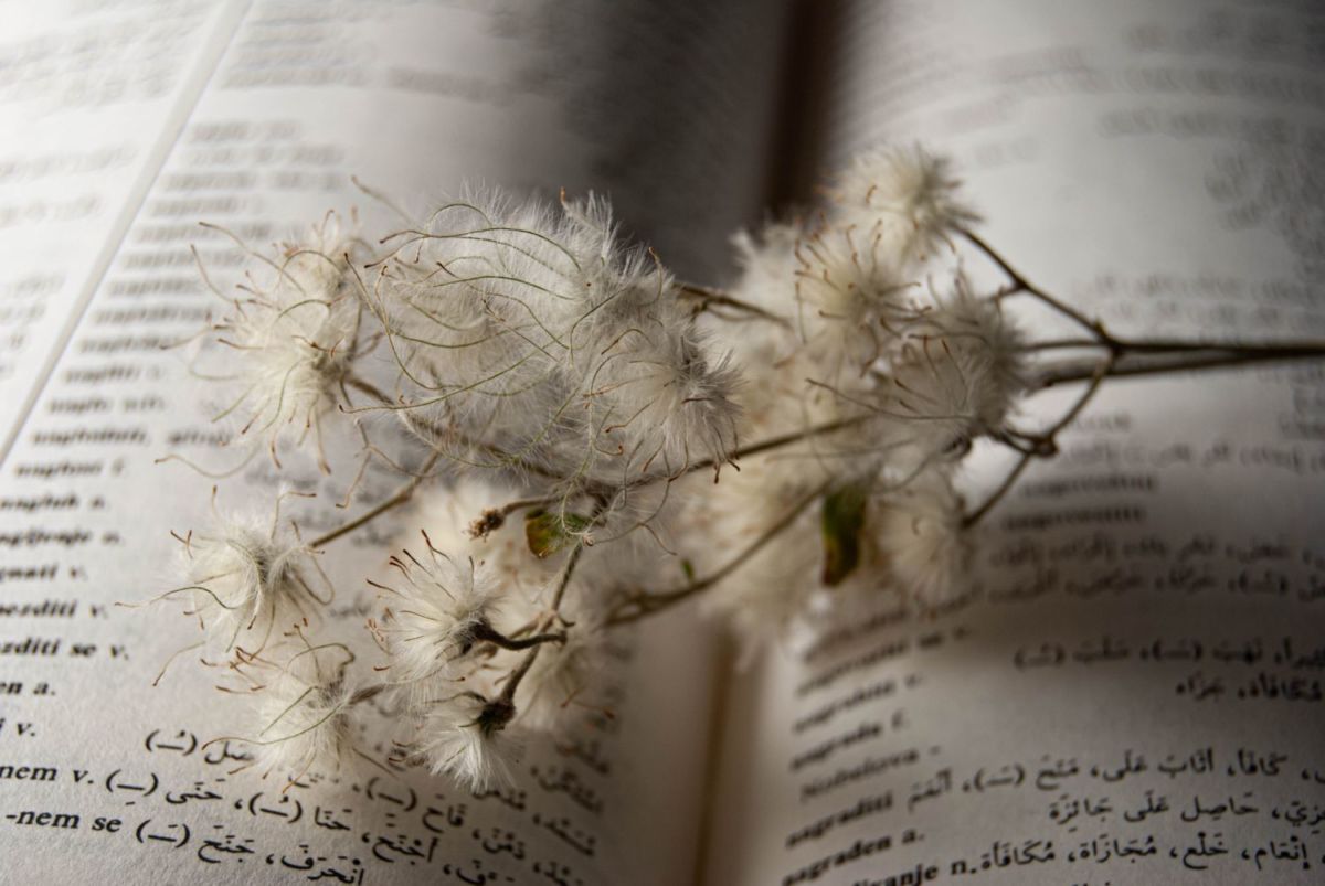 Los diccionarios florales ilustrados se popularizaron en el siglo XIX